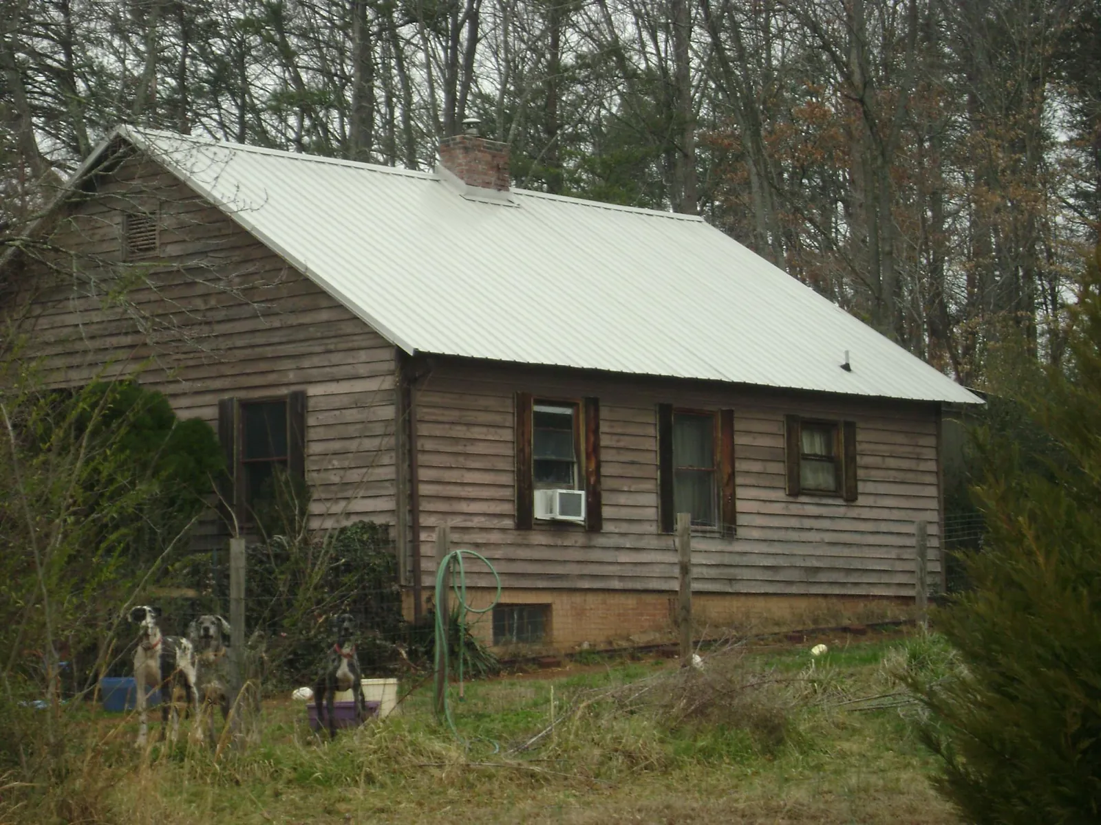 White metal roof on an old wood sided farmhouse, from a Asphalt Shingle Roof Repair job in Brookston